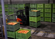 Seule intervention humaine de la ligne : récupération des containers de pommes une fois qu'ils sont pleins pour les emmener en chambre de stockage et conditionnement