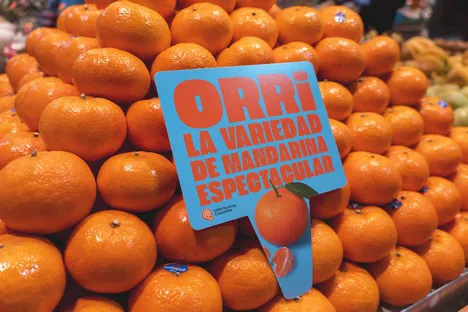 Découvrez la mandarine Orri !